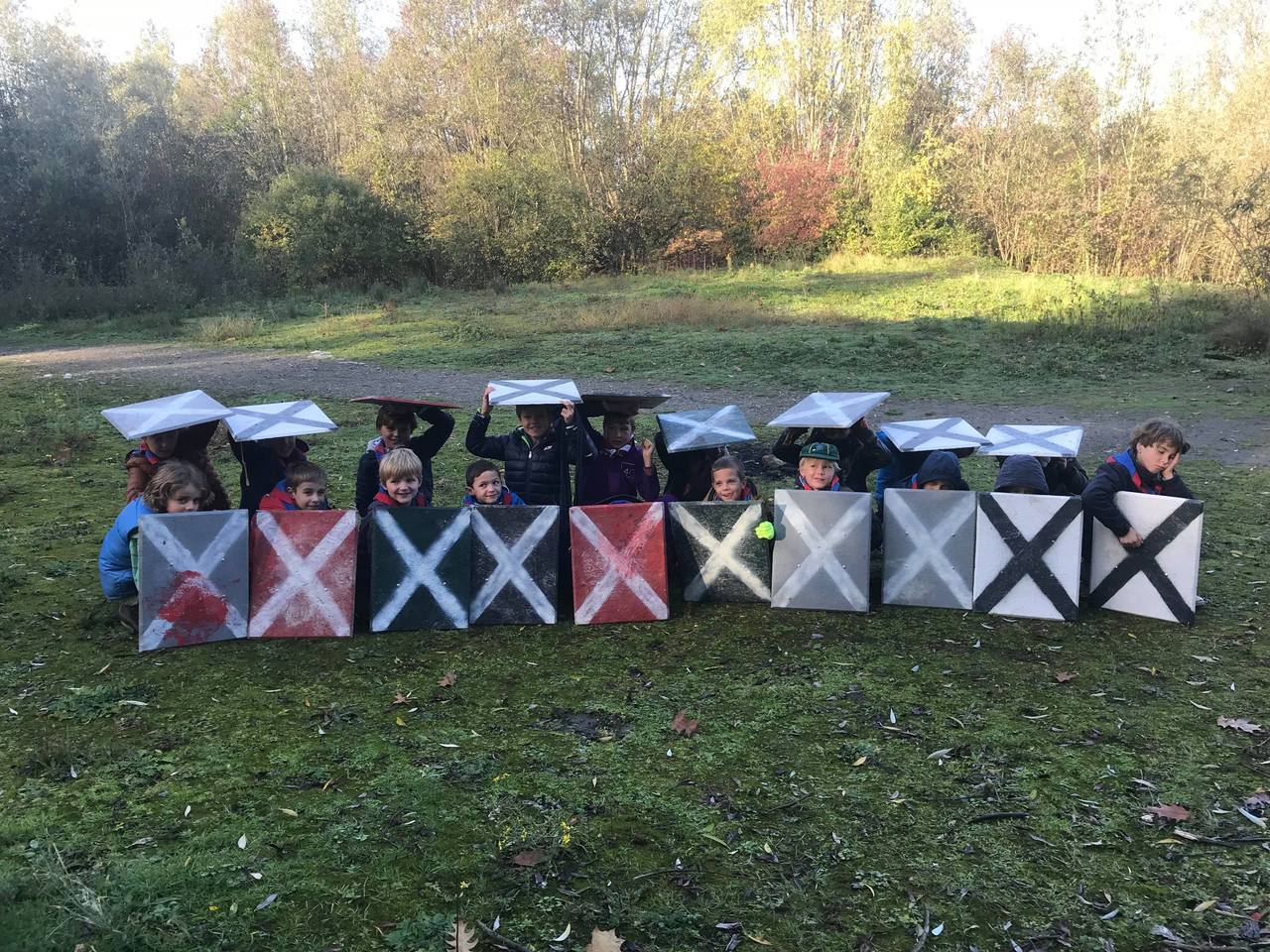 Formation tortue
